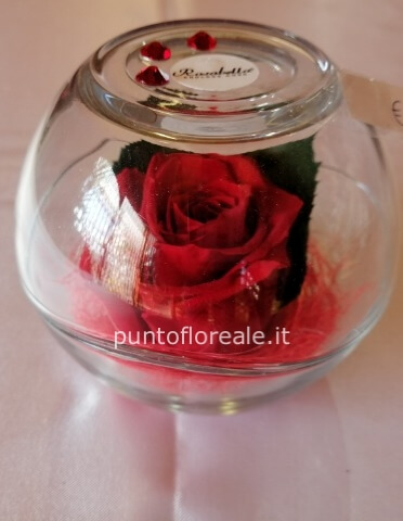 Fiori stabilizzati