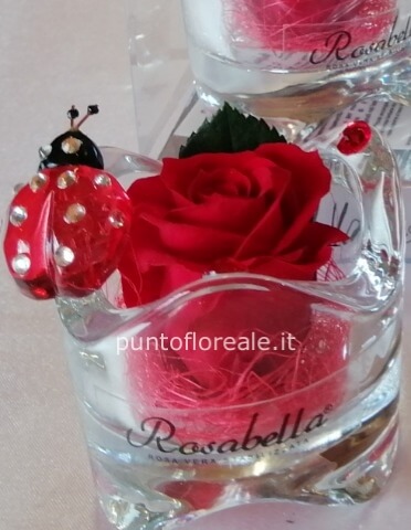 Fiori stabilizzati