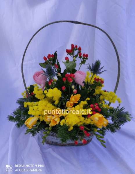 Cesto misto con Mimosa
