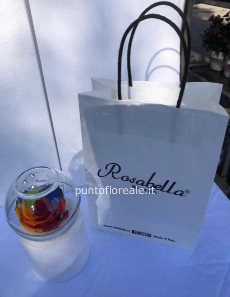 Rosa Stabilizzata sfera vetro RAINBOW PETALI MULTICOLORI (consegnata con sacchetto)