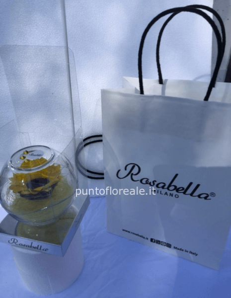 Girasole Stabilizzato