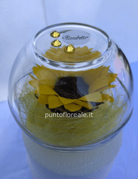 Girasole stabilizzato